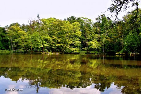 Raduňský rybník 2005