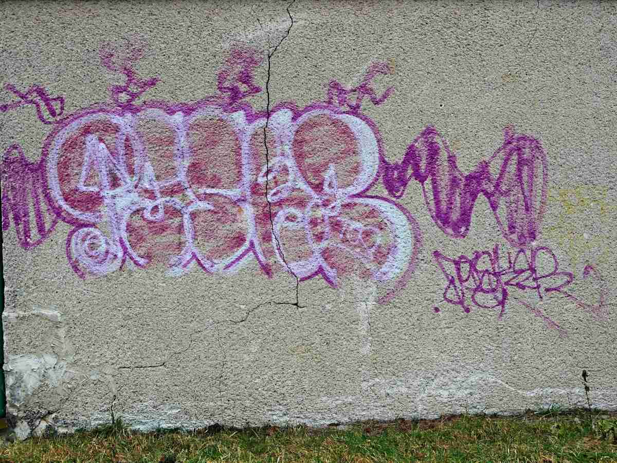 15.1.18 graffiti (16)